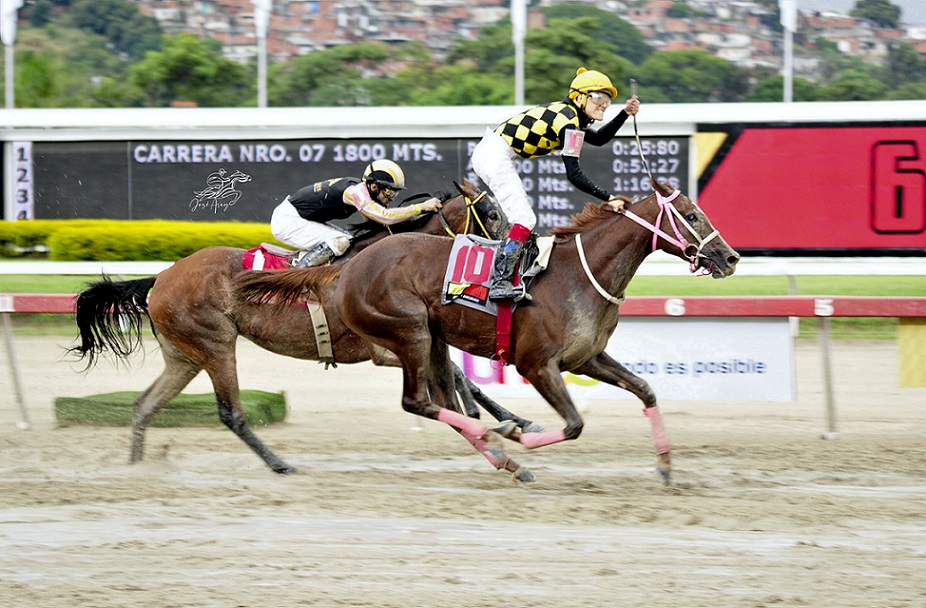 Succes Fully, horse, League Of Nations, LXVII del Clásico de Aviación Militar, sábado, 20 de noviembre de 2021, La Rinconada. Foto: José Antonio Aray