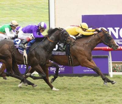 Twilight Gleaming, Horses, Stonestreet Farm, Breeders Cup Juveline Turf Sprint, viernes, 5 de noviembre de 2021, Hipódromo de Del Mar. Foto: Benoit Photo