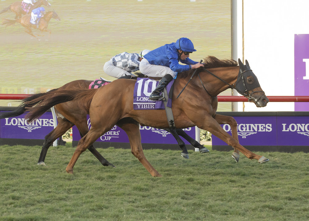 Yibir, horse, Duwabi, Breeders Cup Turf, sábado, 6 de noviembre de 2021, Del Mar. Foto: Benoit Photo / @benoitphoto_