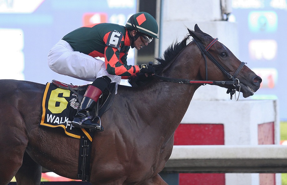 Walkoff, horse, Street Sense, Copa Invitacional de Importados, domingo, 5 de diciembre de 2021, Hipódromo de Camarero. Foto: Juan Luis Martínez & Prensa Camarero