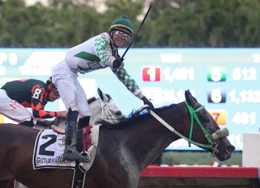 Giovannina, horse, Take Charge Indy, Copa Lucky Cash, domingo, 5 de diciembre de 2021, Hipódromo de Camarero. Foto: Juan Luis Martínez