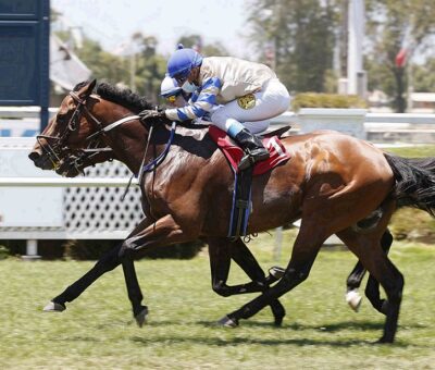 El Bolzón, horse, Lookin At Lucky, Clásico Vamos A La Hípica, lunes, 20 de diciembre de 2021, Club Hípico de Santiago. Foto: Jaime Cortés