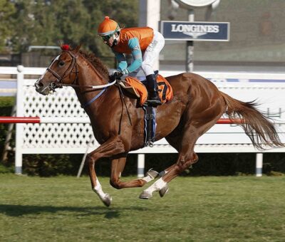 Fortino, horse, Midshipman, Clásico Debut Potrillos, domingo, 6de diciembre de 2021, Club Hípico de Santiago. Foto: Jaime Cortés