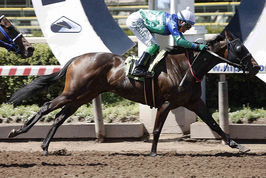 Galicada Streaps, horse, Stud Matriarca, Clásico Comunidad Judía de Chile, jueves, 16 de diciembre de 2021, Hipódromo Chile. Foto: Jaime Cortés