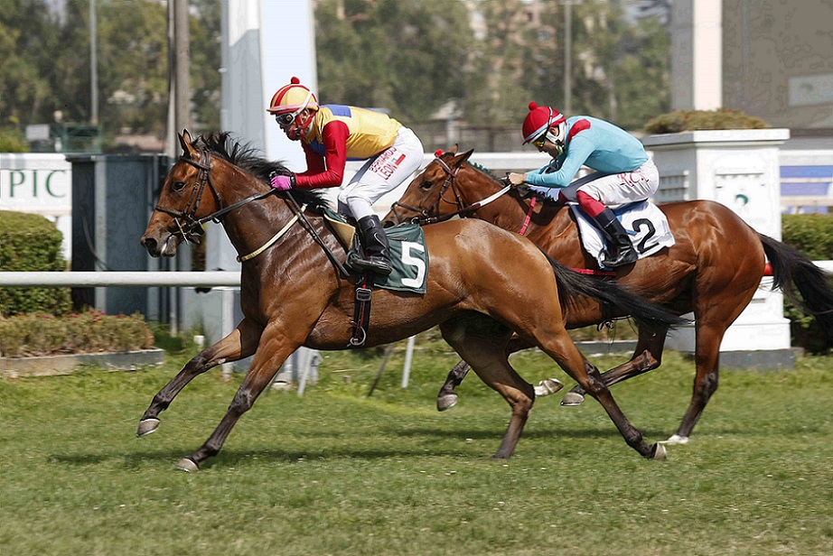 Loca Orquidea, horse, Seeking The Día, Clásico Debut Potrancas, miércoles, 29 de diciembre de 2021, Club Hípico de Santiago. Foto: Jaime Cortés