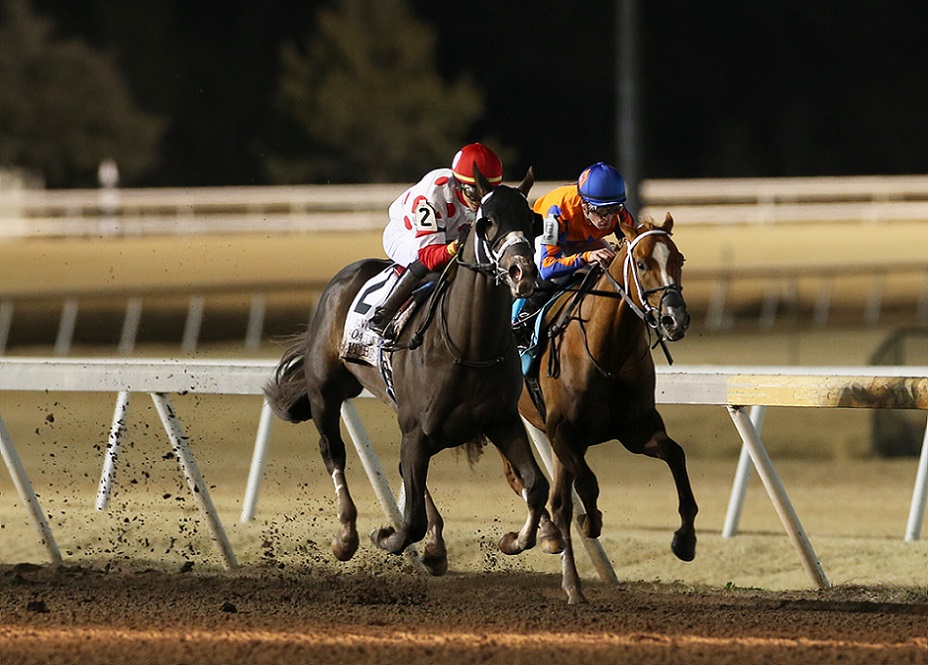 Make It Big, horse, Red Oak Stable, Remington Springboard Mile Stakes, viernes, 17 de diciembre de 2021, Remington Park. Foto: Dustin Orona