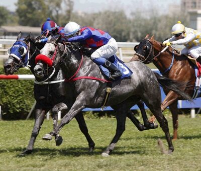 Master Money, horse, Mastercraftsman, Clásico TVTurf Movil, lunes, 20 de diciembre de 2021, Club Hípico de Santiago. Foto: Jaime Cortés