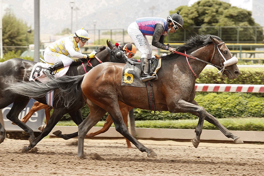 Mi Primo Juanjo, horse, Last Best Place, Clásico Gabriel Donoso Rosselot, sábado, 2 de diciembre de 2021, Hipódromo Chile. Foto: Jaime Cortés
