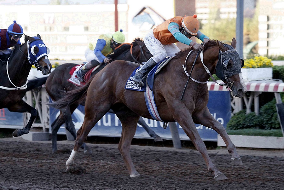 Ñiquense, horse, Haras Don Alberto, Clásico St Leger, sábado, 4 de diciembre de 2021, Hipódromo de Chile. Foto: Jaime Cortés