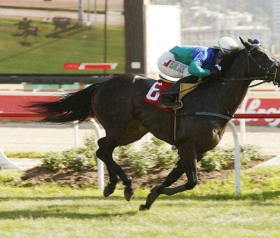 Pogbaa, horse, Stud Matriarca, Clásico Irish Glory, 22 de diciembre de 2021, Valparaíso Sporting Club. Foto: Jaime Cortés