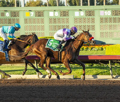 Slow Down Andy, Horses, Nyquist, Los Alamitos Futurity, domingo, 11 de diciembre de 2021, Hipódromo de Del Mar. Foto: Benoit Photo