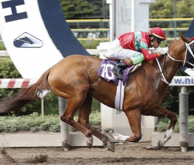 The Best Victory, horse, Stud Haras Sumaya, California Chrome, sábado, 25 de diciembre de 2021, Hipódromo Chile . Foto: Jaime Cortés