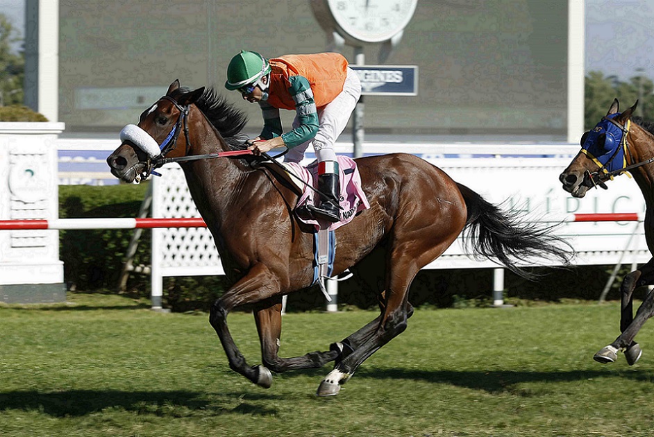 Y Nada Más, horse, Haras Don Alberto, Clásico Las Oaks, viernes, 17 de diciembre de 2021, Club Hípico de Santiago. Foto: Jaime Cortés