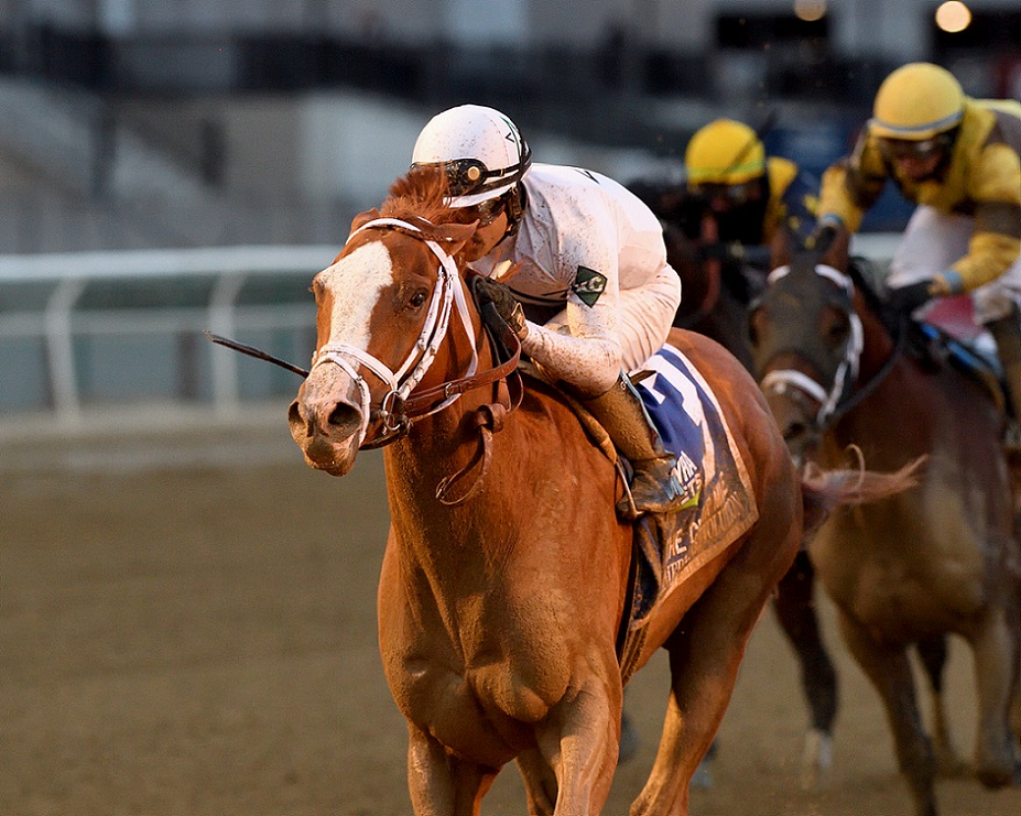 Americanrevolution, horse, Win, Cigar Mile Stakes, sábado, 4 de diciembre de 2021, Aqueduct. Foto: Coglaniese Photo & Chelsea Durand