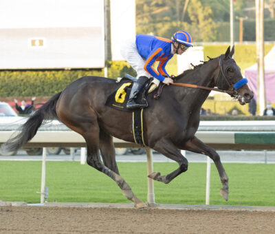 As Time Goes By, Horses, American Pharoah, La Cañada Stakes, sábado, 1 de enero de 2022, Santa Anita Park. Foto: Benoit Photo
