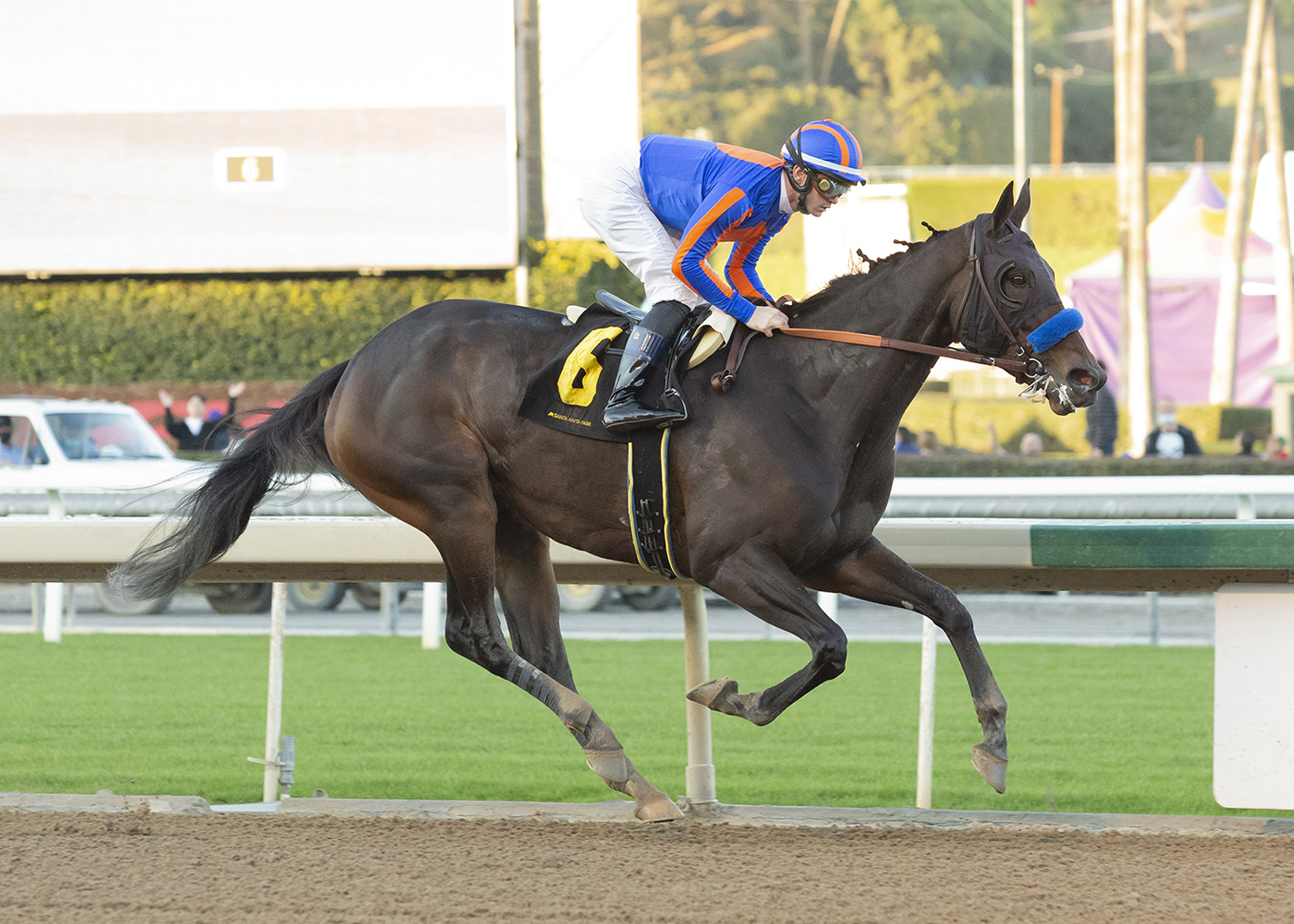 As Time Goes By, Horses, American Pharoah, La Cañada Stakes, sábado, 1 de enero de 2022, Santa Anita Park. Foto: Benoit Photo