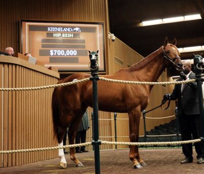 Belgrade, Hip 853, Horse, Hard Spun en Miss Prytania por Eskendereya, sesión 2, Keeneland Sales, miércoles, 12 de enero de 2022, Keeneland. Foto: Keeneland