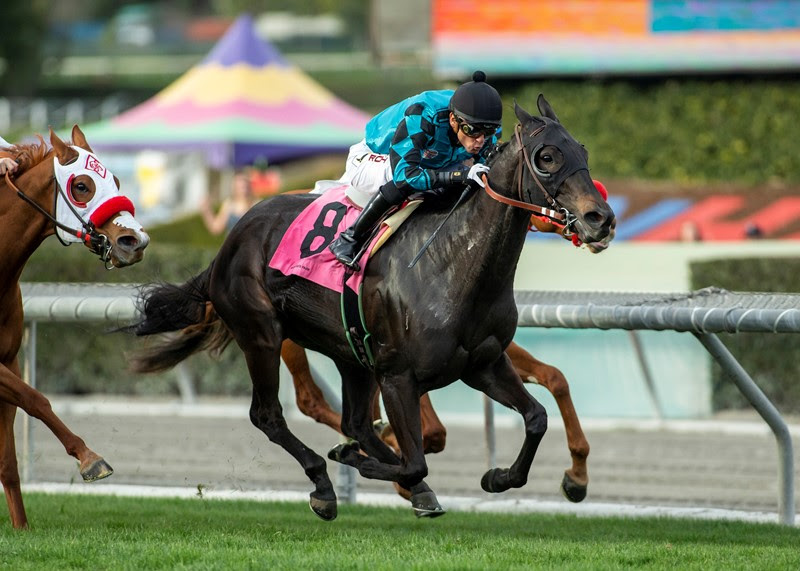 Canoodling, Horses, Pioneerof The Nile, Megahertz Stakes, sábado, 29 de enero de 2022, Santa Anita Park. Foto: Benoit Photo