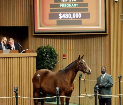 Crowning Jewel, Hip 914, Horse, Into Mischief en Bedazzle por, sesión 3, Keeneland Sales, jueves, 13 de enero de 2022, Keeneland. Foto: Keeneland