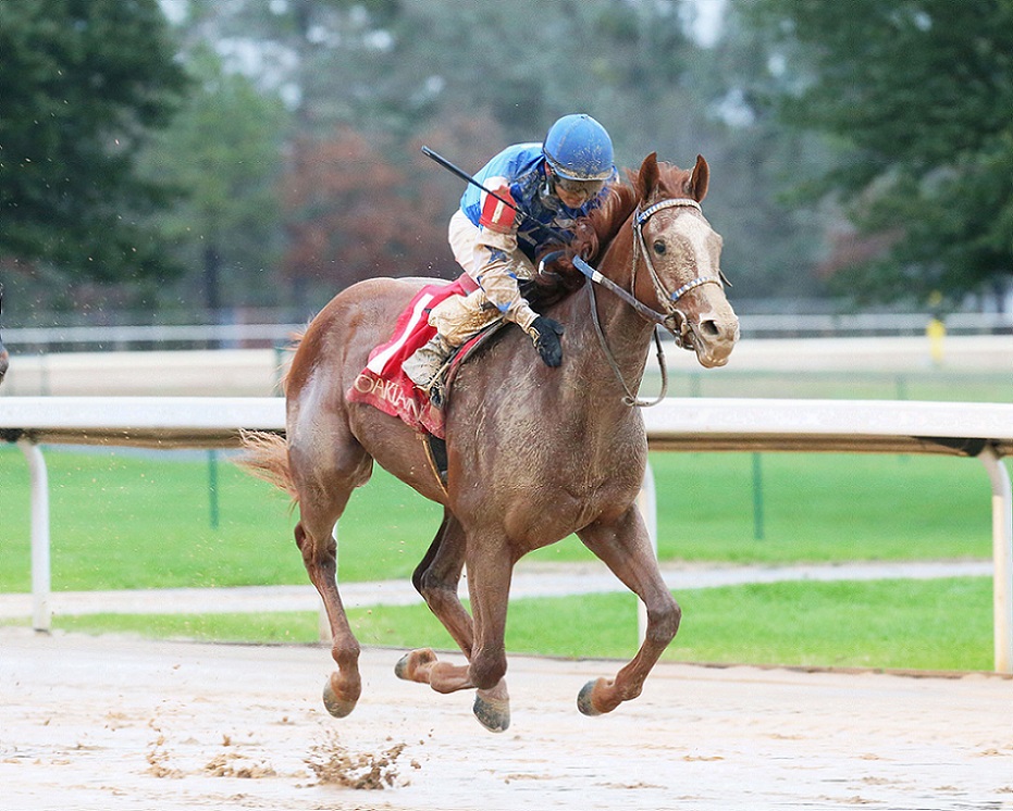 Dash Attack, horse, Munnings, Smarty Jones Stakes, sábado, 1 de enero de 2022, Oaklawn Park. Foto: Coady Photo