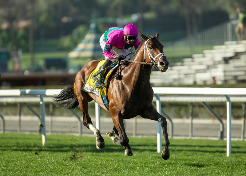 Friar´s Road, Horses, Quality Road, San Marcos Stakes, sábado, 29 de enero de 2022, Santa Anita Park. Foto: Benoit Photo