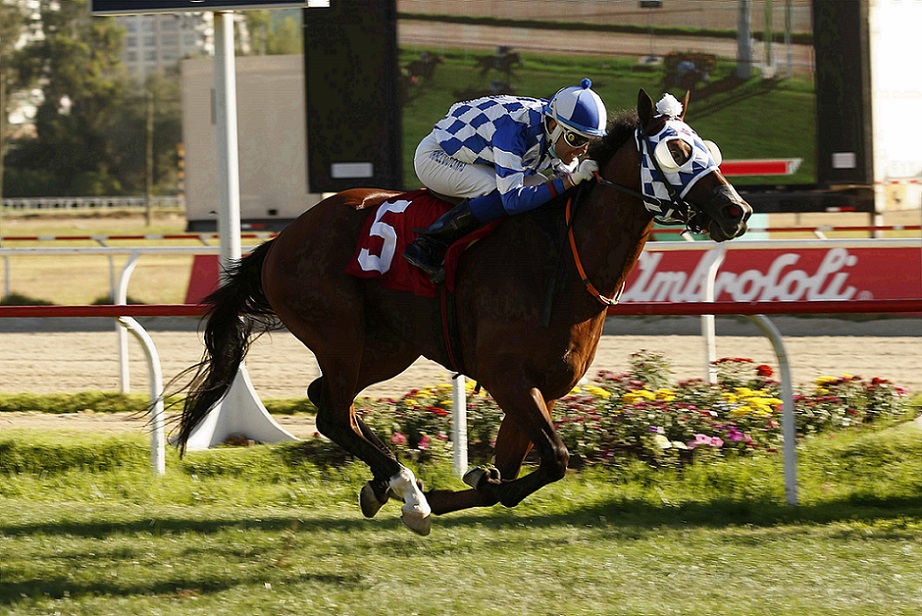 Gamberetti, horse, Lookin At Lucky, Clásico Copa Jackson, domingo, 2 de enero de 2022, Valparaíso Sporting Club. Foto: Jaime Cortés