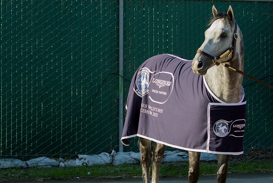 Knicks Go, horse, KRA Stud Farm, Longines World Racing Awards, domingo, 7 de noviembre de 2021, Del Mar. Foto: Holly Smith & IFHA (Copyright)