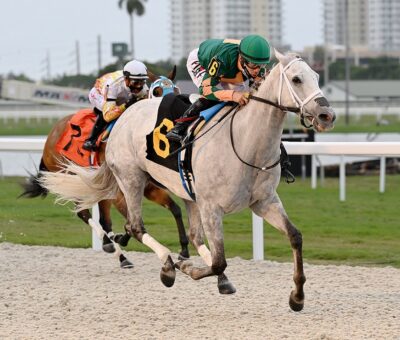 Lovely Luvy, horse, Sonata Stable, Sunshine Filly and Mare Turf, sábado, 22 de enero de 2022, Gulsftream Park. Foto: Coglianese Photo & Lauren King