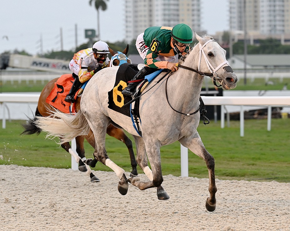 Lovely Luvy, horse, Sonata Stable, Sunshine Filly and Mare Turf, sábado, 22 de enero de 2022, Gulsftream Park. Foto: Coglianese Photo & Lauren King