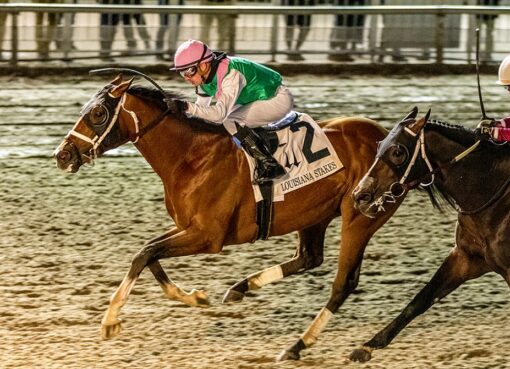 Mandaloun, horses, Juddmonte Farm, Louisiana Stakes, sábado, 22 de enero de 2022, Fair Grounds. Foto: Hodges Photography