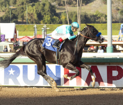 Newgrange, horse, Violence, Sham Stakes, sábado, 1 de enero de 2022, Santa Anita Park. Foto: Benoit Photo