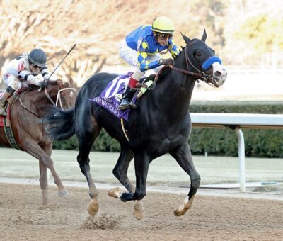 Newgrange, horse, Violence, Southwest Stakes, sábado, 29 de enero de 2022, Oaklawn Park. Foto: Coady Photo