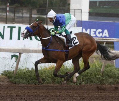 Ornela, horse, Stud Matriarca, Condicional, 17 de enero de 2022, Club Hípico de Santiago. Foto: Jaime Cortés
