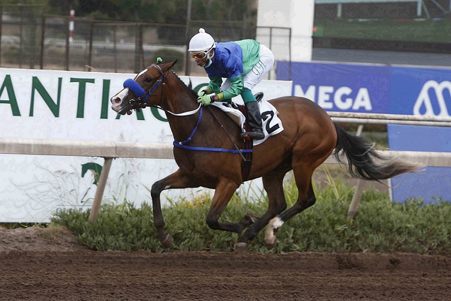 Ornela, horse, Stud Matriarca, Condicional, 17 de enero de 2022, Club Hípico de Santiago. Foto: Jaime Cortés
