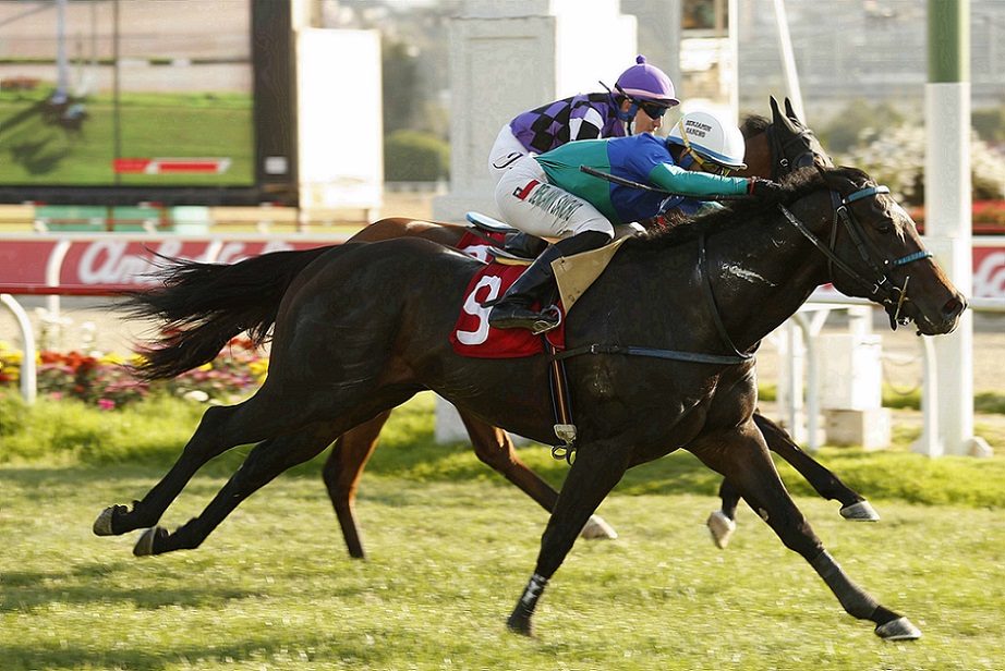 Pogbaa, horse, Stud Matriarca, Clásico FOTOOFICIAL.CL, 12 de enero de 2022, Valparaíso Sporting Club. Foto: Jaime Cortés
