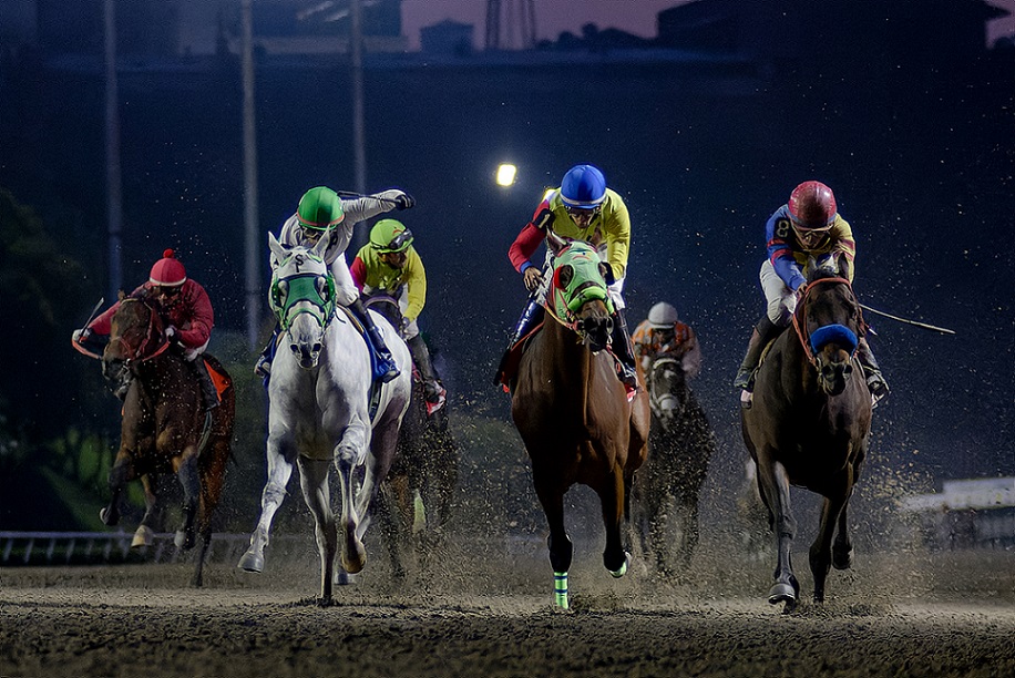 Pórtate Serio, horse, Drover, Clásico Handicap Copa De Oro, sábado, 11 de diciembre de 2021, Hipódromo de Las Américas. Foto Miguel Ángel Espinoza