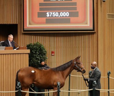 Princesse Lele, Hip 276, Horse, Quality Road en Carina Mia por, sesión 1, Keeneland Sales, martes, 11 de enero de 2022, Keeneland. Foto: Keeneland