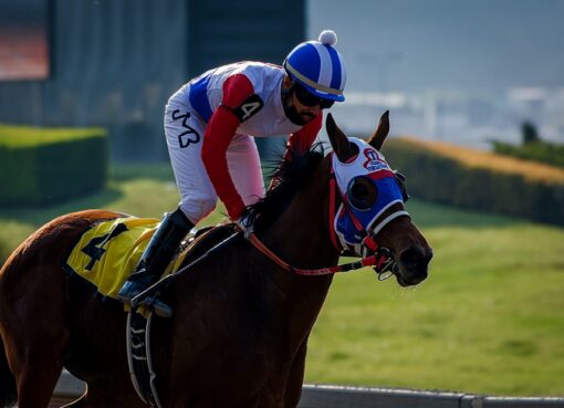 Súper Ivonne, horse, Protonico, Clásico Campeonato Juvenil, sábado, 11 de diciembre de 2021, Hipódromo de Las Américas. Foto: Miguel Ángel Espinoza