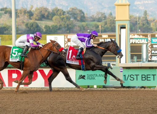 Under The Stars, Horses, Pioneerof The Nile, Santa Ynez Stakes, sábado, 8 de enero de 2022, Santa Anita Park. Foto: Benoit Photo