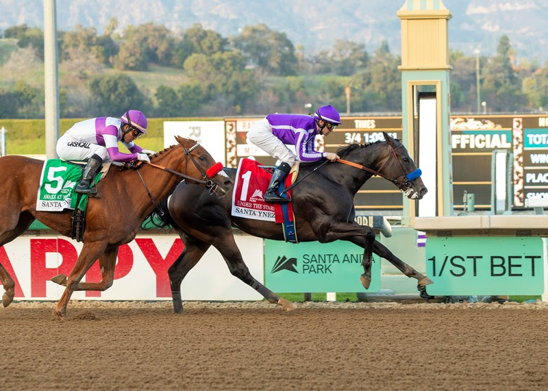 Under The Stars, Horses, Pioneerof The Nile, Santa Ynez Stakes, sábado, 8 de enero de 2022, Santa Anita Park. Foto: Benoit Photo