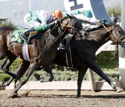 Win Here, horse, Haras El Sheik, Clásico Julio Prado Amor, sábado, 15 de enero de 2022, Hipódromo de Chile. Foto: Jaime Cortés