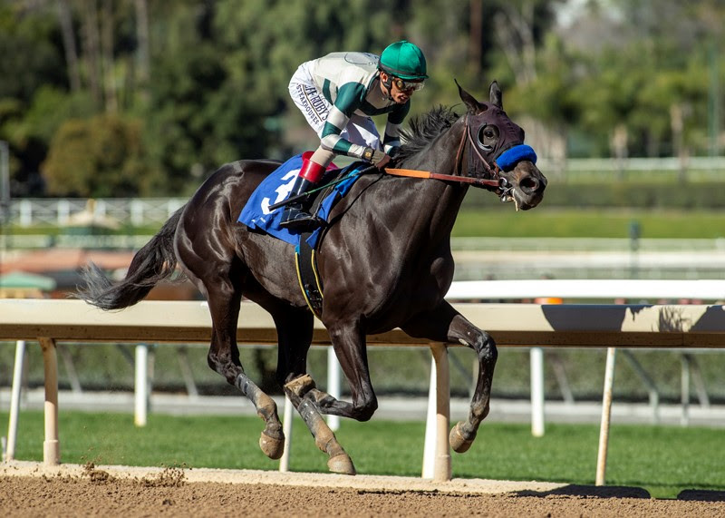 Adare Manor, Horses, Uncle Mo, Las Virgenes Stakes, domingo, 6 de febrero de 2022, Santa Anita Park. Foto: Benoit Photo