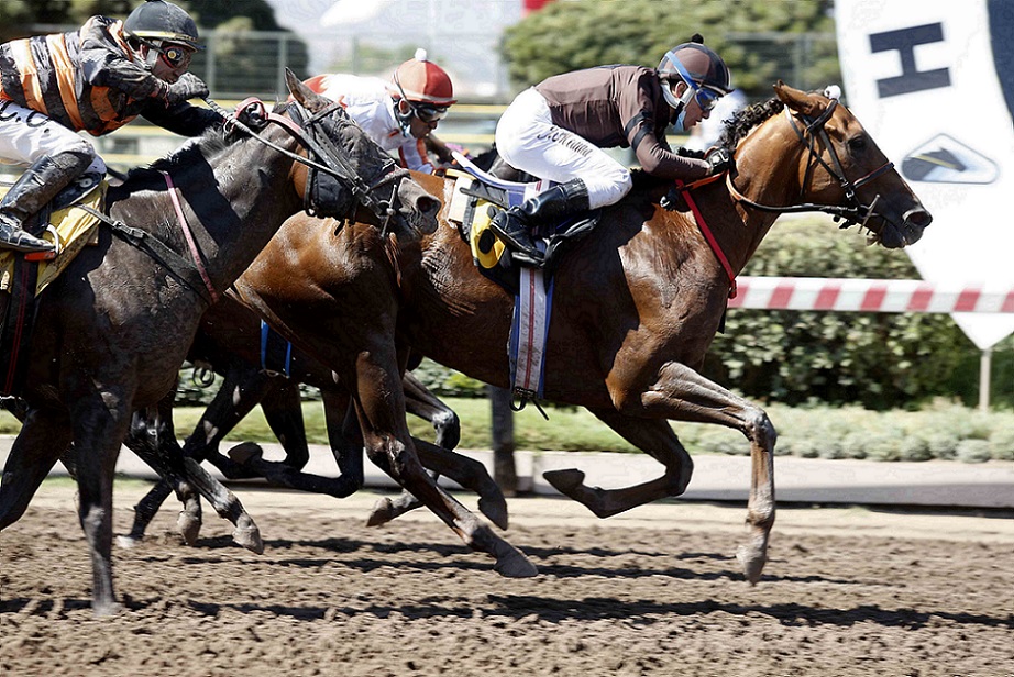 Bellanova, horse, Seeking The Dia, Clásico Provita, sábado, 5 de febrero de 2022, Hipódromo de Chile. Foto: Jaime Cortés