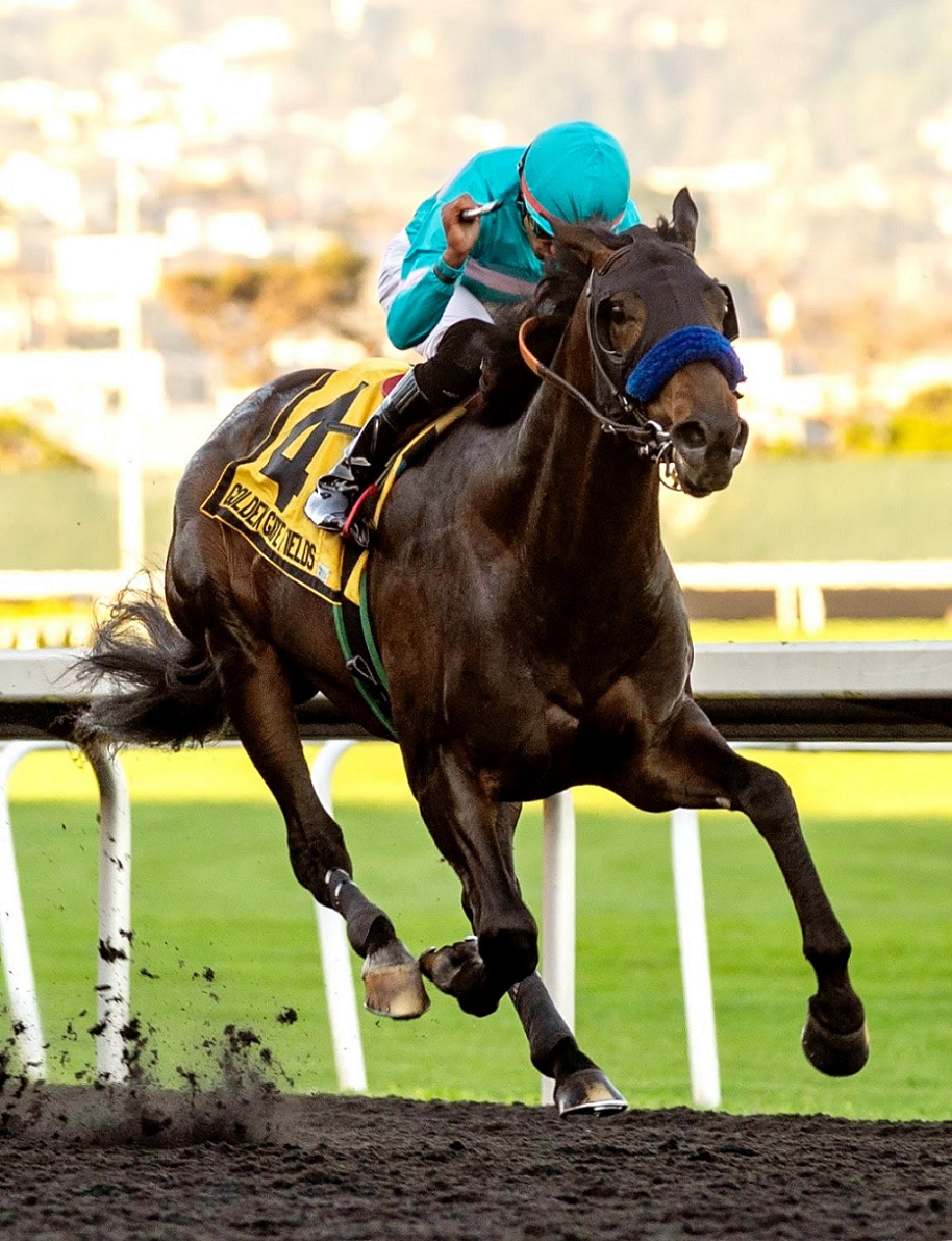 Blackadder, horse, Quality Road, El Real Camino Derby, sábado, 12 de febrero de 2022, Golden Gate Field. Foto: Shane Micheli & Vassar Photography