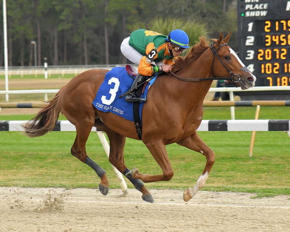 Classic Causeway, horse, Giant´s Causeway, Sam F. Davis, sábado, 12 de febrero de 2022 Tampa Bay Downs Foto: SV Photography