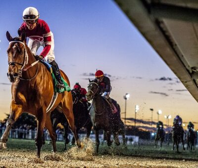 Epicenter, Winchell Thoroughbreds, Gun Runner Stakes, sábado, 19 de febrero de 2022, Fair Grounds. Foto: Hodges Photography