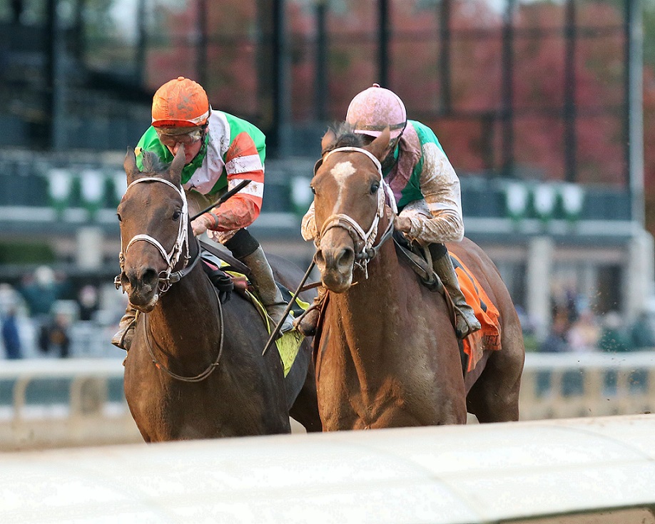 Mandaloun, horse, Into Mischief, Maiden Special Weight, 24 sábado, de octubre de 2020, Keeneland. Foto: Coady Photo