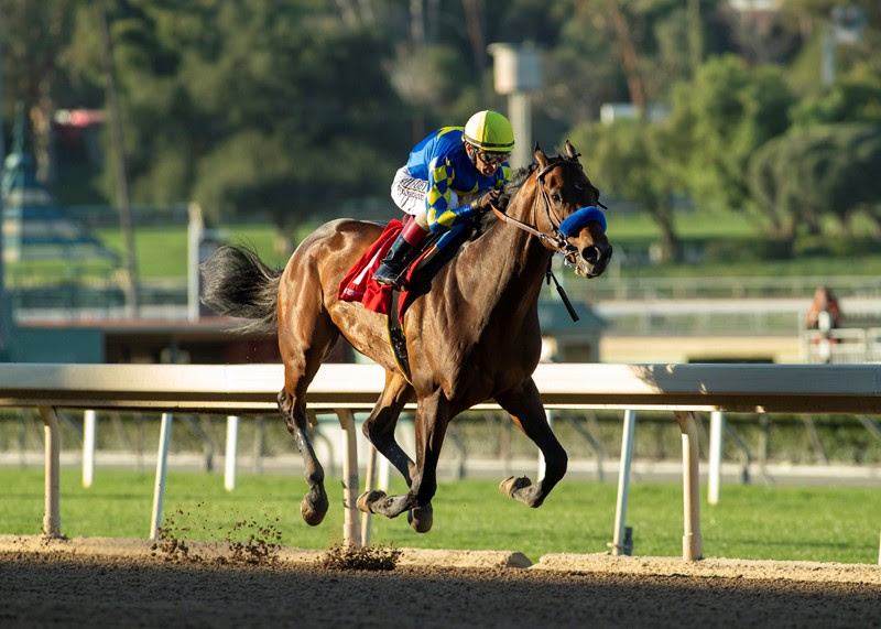 Messier, horse, Empire Maker, Robert B. Lewis, domingo, 6 de febrero de 2022, Santa Anita Park. Foto: Benoit Photo