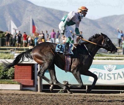 O´Connor, horse, Haras Carioca, Clásico Julio Castro Ruiz, sábado, 26 de febrero de 2022, Hipódromo Chile. Foto: Jaime Cortés
