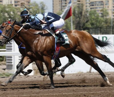 Rey Sidonio, horse, Gemologist, Clásico Royal Champion, viernes 4 de febrero de 2022, Club Hípico de Santiago. Foto: Jaime Cortés